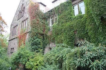0099 Witzenhausen Sept 2010 (Large)